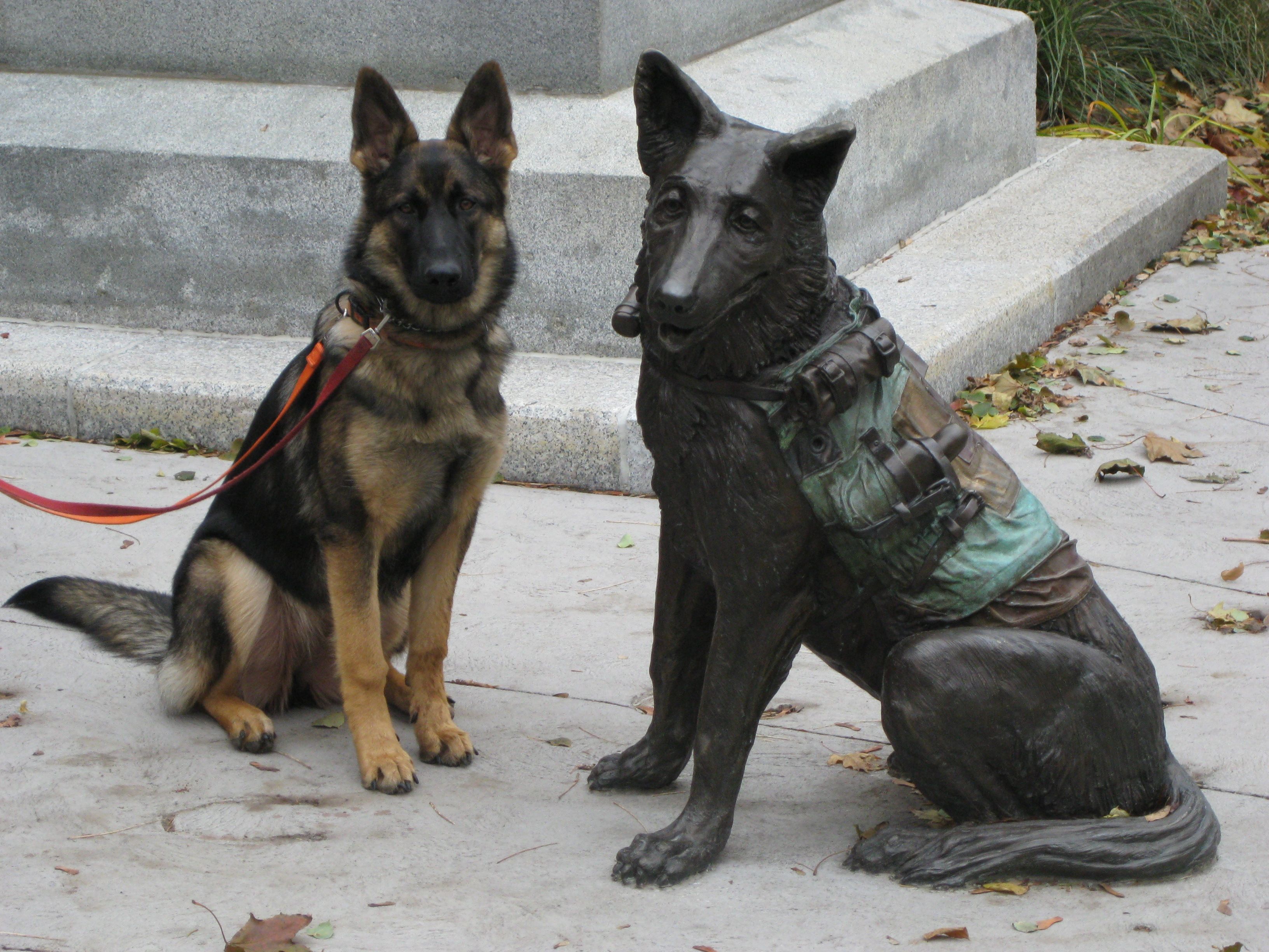 Real Shepherd and Sculpted Shepherd