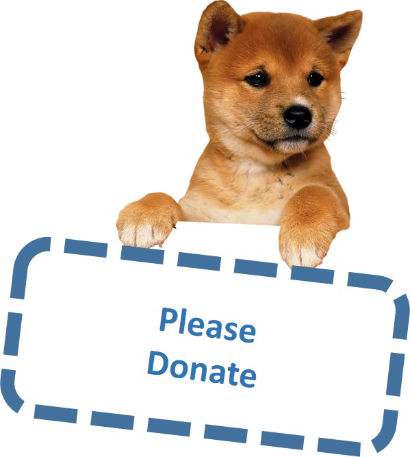 PleaseDonateDog.jpg